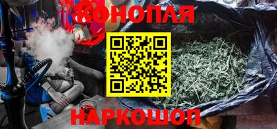 молекула духа Будённовск