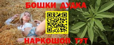 молекула духа Будённовск