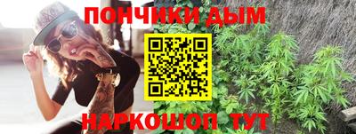 молекула духа Будённовск