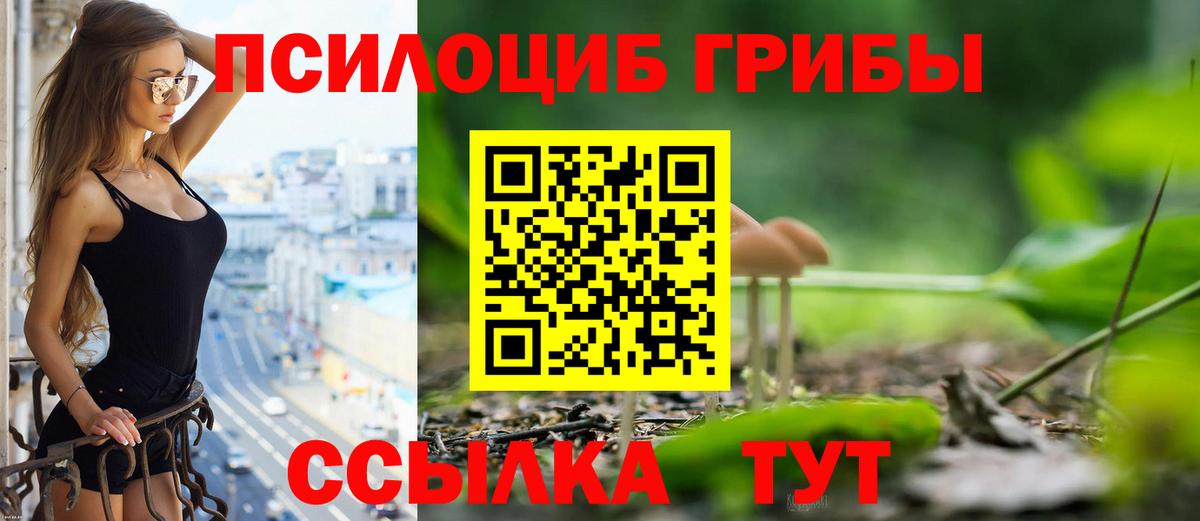 Псилоцибиновые грибы Magic Shrooms  Вход с VPN  Приморско-Ахтарск 